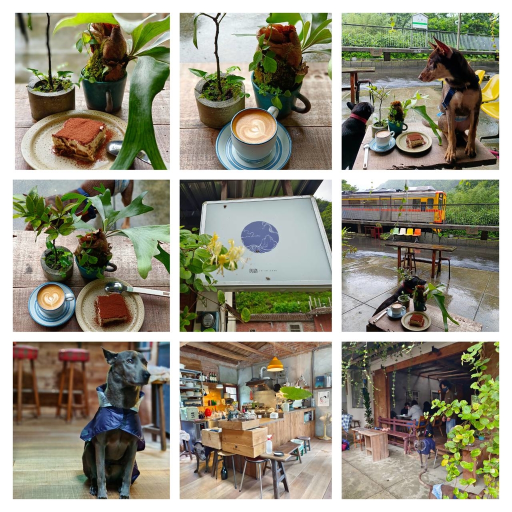 【台北.平溪】大華車站。與路咖啡寵物友善咖啡廳內有店狗。寧靜小鎮風光超悠閒午後時光