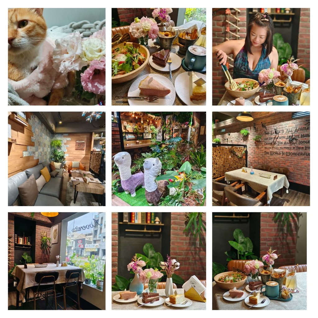 【台南】艾柏達|咖啡XBruch。寵物超級友善咖啡廳+擺盤飲料都超用心超推薦的美好店家